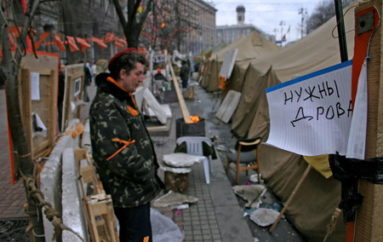 Дрова для Майдана